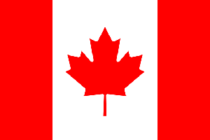 flag-can