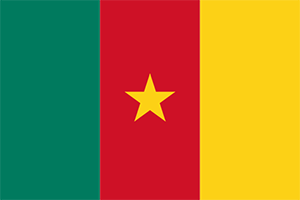 flag-cmr